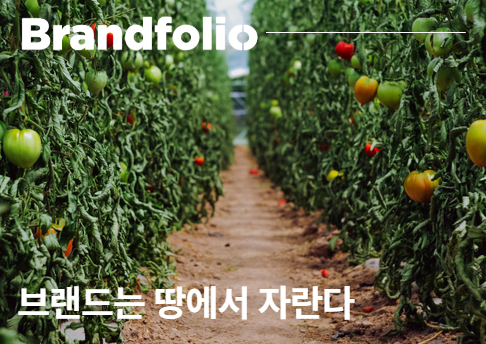 오늘의 인사이트 썸네일